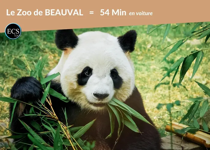 Bambou Zen - 5 Couchages - Vieux Appartement