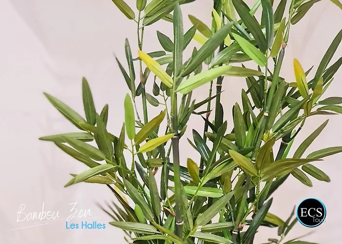 Bambou Zen - 5 Couchages - Vieux Appartement Tours