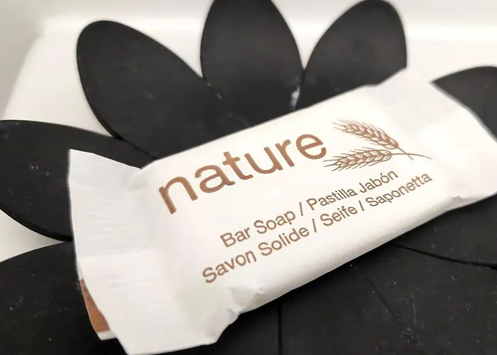 Bambou Zen - 5 Couchages - Vieux Appartement